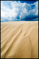 Sand Dunes In Råbjerg Mile, Skagen, Denmark