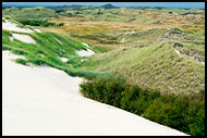 Landscape Of Råbjerg Mile, Skagen, Denmark