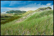 Landscape Of Råbjerg Mile, Skagen, Denmark
