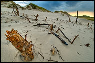 Råbjerg Mile, Skagen, Denmark