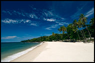 Beautiful Beach, People And Nature, Sierra Leone