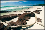 Beach, People And Nature, Sierra Leone