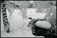 New Snow In Nordmarka, Best of 2007, Norway