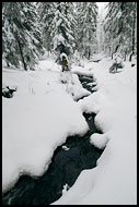 Stream In Nordmarka, Best of 2007, Norway