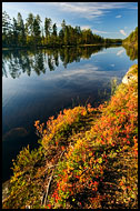 Fall Colors By A Water Channel, Fjorda In Autumn, Norway