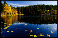 Skjennungen, Autumn in Nordmarka, Norway