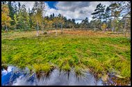 A Moor On The Way To Skjennungstua, Autumn in Nordmarka, Norway