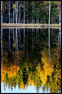 Sunset By Skomakertjern, Autumn in Nordmarka, Norway