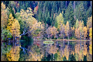 Fall Colors By Store Tryvannstua, Autumn in Nordmarka, Norway