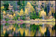 Fall By Kopperhaugtjernet, Autumn in Nordmarka, Norway