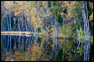 Autumn By Skomakertjern, Autumn in Nordmarka, Norway