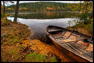 Fall By Kopperhaugtjernet, Autumn in Nordmarka, Norway