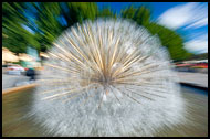 The Peacock Fountain, Best Of 2008, Norway