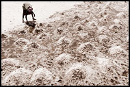 Working On Salt Field, Salt Harvesting, Senegal