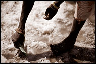 Harvesting Salt, Salt Harvesting, Senegal