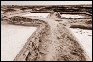 Salt Field, Salt Harvesting, Senegal