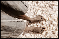 Kid On A Salt Field, Salt Harvesting, Senegal