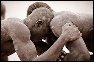 In A Fight, Traditional Wrestling, Senegal