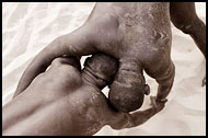 Traditional Wrestling Fight, Traditional Wrestling, Senegal