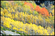 Autumn In Grøndalen, Autumn In Hemsedal, Norway