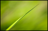 Green Power, Best Of 2009, Norway