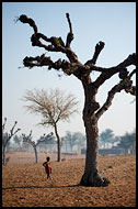 Shekhawati Landscape, Shekhawati, India