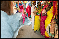 Rajasthani Family, Shekhawati, India