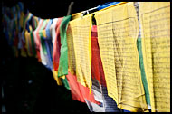 Prayer Flags, Enchey Monastery, Buddhist Sikkim, India