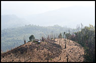 Nagaland Landscape, Nagaland, India