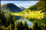 Scenere Near Sogndal, Land Of Fjords, Norway