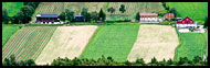 Fields Near Lom, Land Of Fjords, Norway