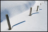 Poles In Snow, Best Of 2010, Norway