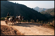Ox Cart, Best Of, Myanmar (Burma)