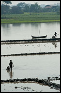 Young Men Fishing, Best Of, Myanmar (Burma)
