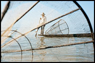 Fisherman On Inle Lake, Best Of, Myanmar (Burma)