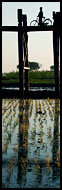 Man With Bicycle On U Bein Bridge, Amarapura, Myanmar (Burma)