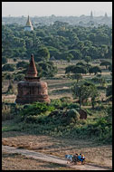 Ox Cart And Bagan Temples, Bagan, Myanmar (Burma)