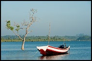 Boat, Delta Region, Myanmar (Burma)