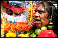 Thaipusam Participant, Thaipusam, Malaysia