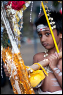 Boy And Kavadi, Thaipusam, Malaysia