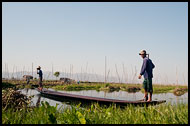 Floating Gardens, Inle Lake, Myanmar (Burma)