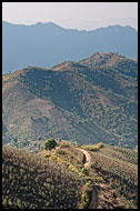 Path Through Hills, Kalaw Trekking, Myanmar (Burma)