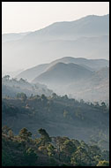 Sunrise In The Hills, Kalaw Trekking, Myanmar (Burma)