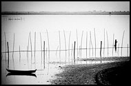 Fisherman, Black And White, Myanmar (Burma)