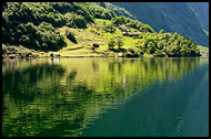 Farms At Nærøyfjord, Nærøyfjord World Heritage Area, Norway