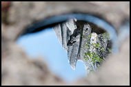 Limestone Reflection, Kunming And Shilin, China