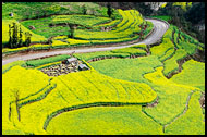 Beehives In Luoping, Luoping, China