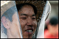 Beekeeper, Luoping, China