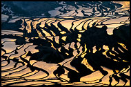 Sunrise Over Rice Terraces, Yuanyang, China