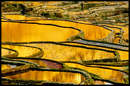 Yuanyang Rice Fields, Yuanyang, China